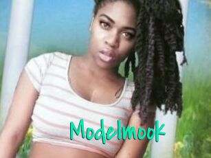 Modelmook