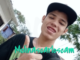 Molinascarloscam