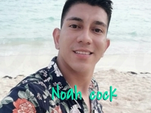 Noah_cock