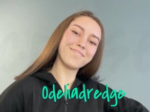 Odeliadredge