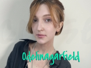 Odelinagarfield