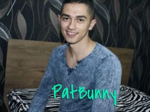 PatBunny