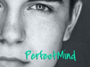 PerfectMind