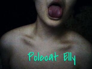 Polecat_Elly