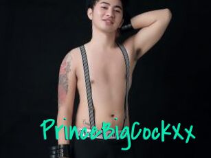 PrinceBigCockXx