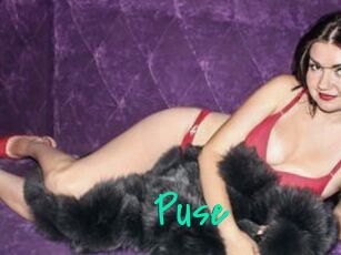 Puse