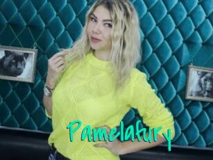 Pamelafury