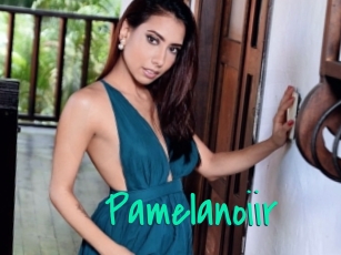 Pamelanoiir