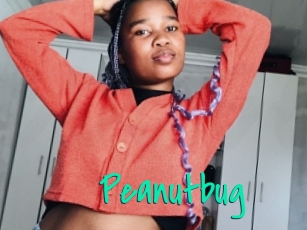 Peanutbug