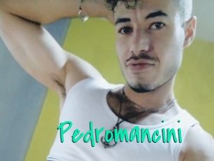 Pedromancini