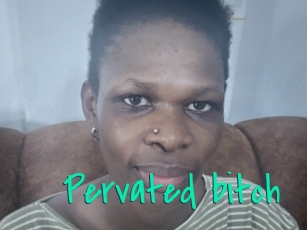 Pervated_bitch