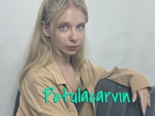 petulacarvin Cool Sexe