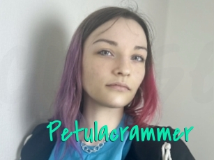 Petulacrammer