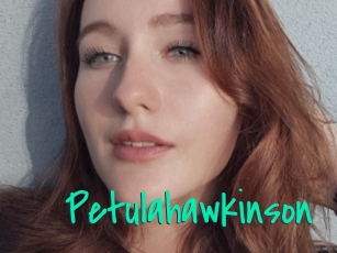 Petulahawkinson