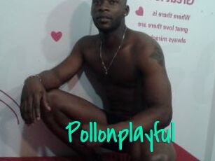 Pollonplayful