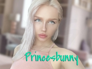 Princesbunny