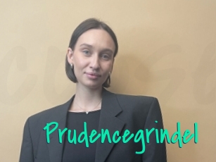 Prudencegrindel