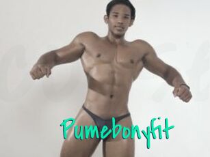 Pumebonyfit