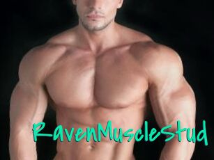 RavenMuscleStud