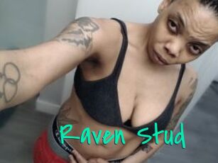 Raven_Stud