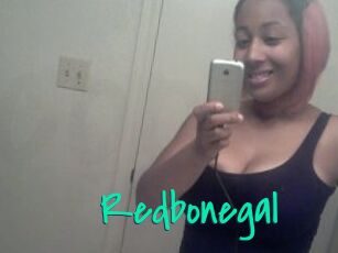 Redbonegal