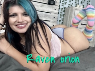 Raven_orion