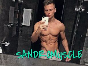 SANDRO_MUSCLE