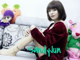 SandyJun