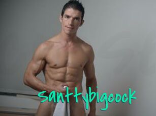 Santtybigcock