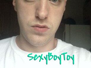 SexyBoyToy