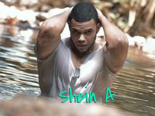 Shein_A