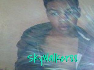 SkyWalker88