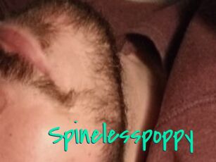 Spinelesspoppy