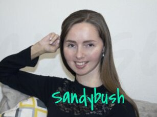 Sandybush