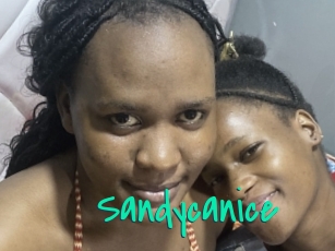 Sandycanice