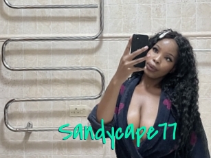 Sandycape77