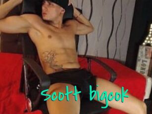 Scott_bigcok