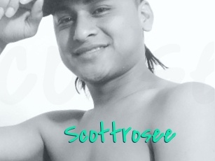 Scottrosee