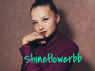 Shineflowerbb