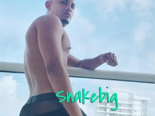 Snakebig