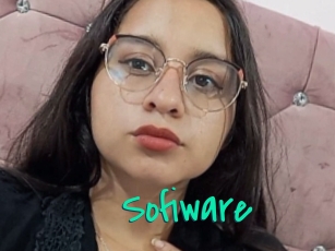 Sofiware