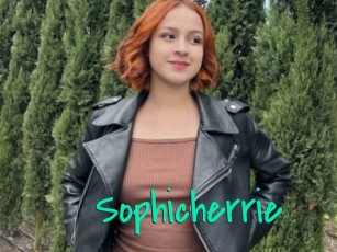 Sophicherrie