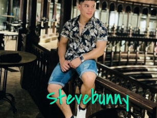 Stevebunny