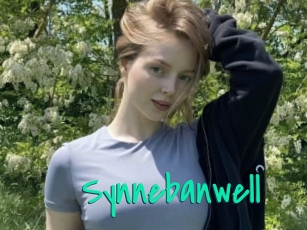 Synnebanwell