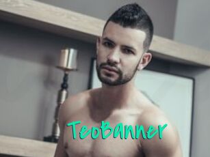 TeoBanner