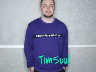 TimSoul
