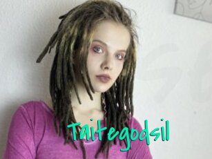 Taitegodsil