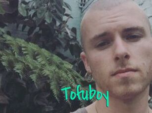 Tofu_boy