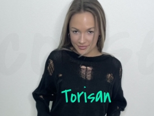 Torisan