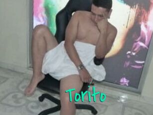 Torito